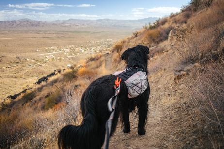 Non-stop Trail Light Backpack Teal (44-29757,44-29758,44-29759,44-29760,44-2)