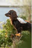 Non-stop Trail Light Backpack Teal (44-29757,44-29758,44-29759,44-29760,44-2)