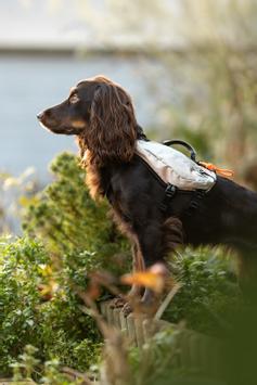 Non-stop Trail Light Backpack Teal (44-29757,44-29758,44-29759,44-29760,44-2)
