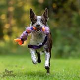 Doggie-Zen Elastisk Fleece og Fuskepels Hundeleke,  Lilla - 70cm (33-7421LI)