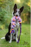 Doggie-Zen Elastisk Fleece og Fuskepels Hundeleke,  Lilla - 70cm (33-7421LI)