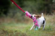 Doggie-Zen Elastisk Fleece og Fuskepels Hundeleke,  Rosa - 70cm (33-7421RO)