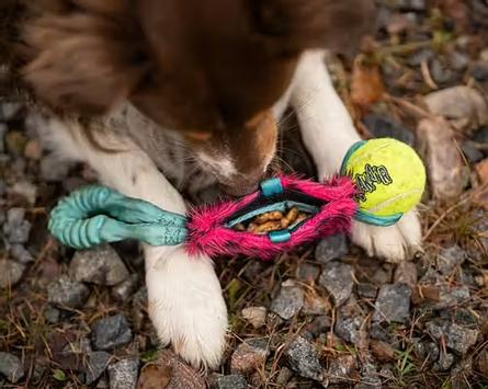Doggie-Zen Elastisk Treningsleke med Godbitlomme og KONG Air Pipball (33-7206)
