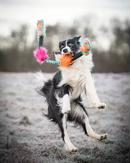 Doggie-Zen Elastisk Pipeslange med Fuskepels (33-7499)