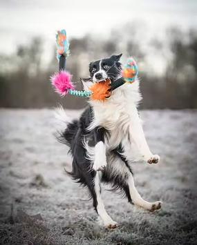 Doggie-Zen Elastisk Pipeslange med Fuskepels (33-7499)
