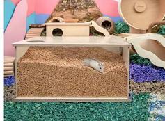  Niteangel Gravekasse til Hamster