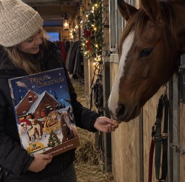  Jr Farm Julekalender til Hest - 140g