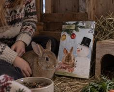  Jr Farm Julekalender til Smådyr - 360g