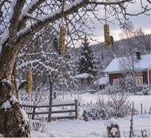  Jr Farm Julekalender til Villfugler