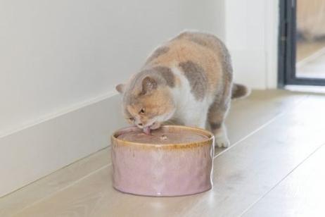 Designed by Lotte Jace Drikkefontene til Katt, Keramikk - Rosa