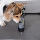 SICASI Scentpot til Nosework  - Grå (75-8547635GREY)