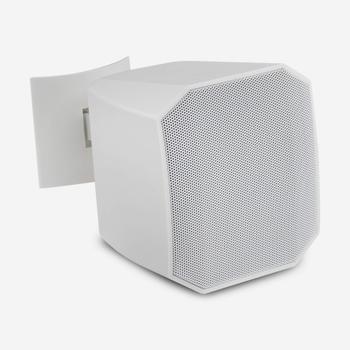 AMC PRO VIVA3 Cabinet loudspeaker,  white RAL9016 (VIVA3RAL9016)