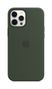 APPLE iPhone 12 Pro Max Silicone Case with Magsafe Cypress Green