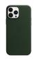APPLE iPhone 13 Pro Max Leather Case with MagSafe Sequoia Green