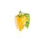 Click and Grow Click and Grow Smart Garden Refill 3-pack - Gul paprika