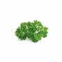 Click and Grow Click and Grow Smart Garden Refill 3-pack - Parsley