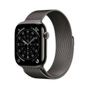 APPLE AW 11 GPS Cell 46mm Slate Tit. Slate Milanese Loop-M/L