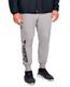 Under Armour Sportstyle Cotton Graphic Jogger - Byxor - Grå