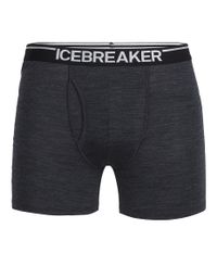 Icebreaker Mens Anatomica - Boxershorts - Jet HTHR