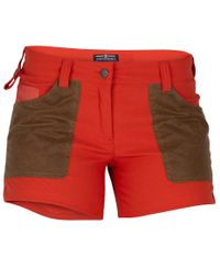 Amundsen 5 Incher Field Womens - Shorts - Red Clay/Tan (WSS53.2.166)