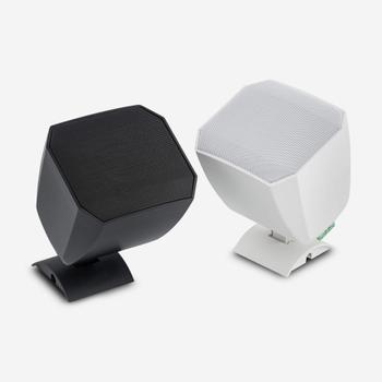 AMC PRO VIVA3 Cabinet loudspeaker,  white RAL9016 (VIVA3RAL9016)