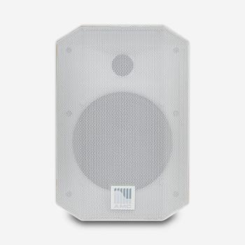 AMC PRO VIVA 5 Cabinet loudspeaker,  white RAL9016 (VIVA5(RAL9016))