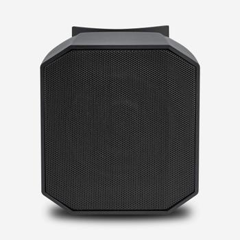 AMC PRO VIVA3 Cabinet loudspeaker,  black RAL9017 (VIVA3RAL9017)