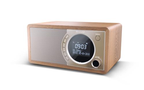 SHARP DR-450(BR) Mono digital radio - Brown (DR-450(BR))