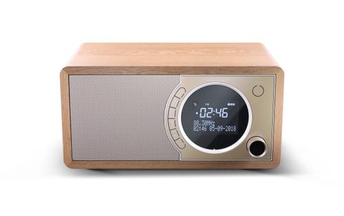 SHARP DR-450(BR) Mono digital radio - Brown (DR-450(BR))