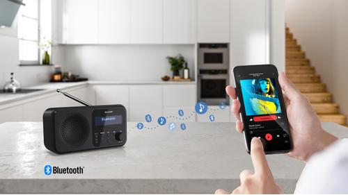 SHARP DR-P420(BK) Tokyo portable radio - Midnight Black (DR-P420(BK))