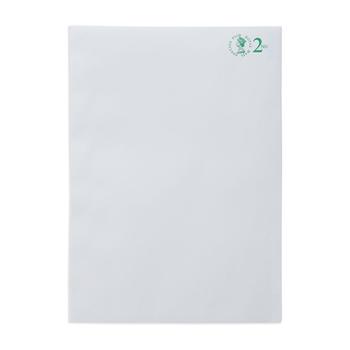 ROYAL MAIL 2ND Class Env Up To 100G C4 Env P100 (V10)