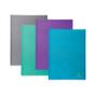 EXACOMPT Exacompta Teksto Display Book 20 Pocket A4 Assorted (Pack of 20) 88620E