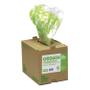 GREENSAC The Green Sack Refuse Bag in Dispenser Clear (Pack of 75) GR0604