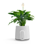 Vitesey Natede Smart - White Pot + Beige Base - Plugs G+I - Wi-Fi/Ble - ENG manuals