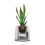 Vitesey Natede Smart - White Pot + Beige Base - Plugs G+I - Wi-Fi/Ble - ENG manuals (NT01AA01_B)
