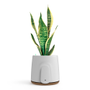 Vitesey Natede Basic - White Pot + Cork Base - Plugs G+I - Wi-Fi/Ble - ENG manuals