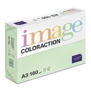 ANTALIS Image Coloraction A3 forest/middelgroen 160g/m2 pak à 250 vel - Prijs geldig bij een minimale afname 20 dozen (Hele pallet)