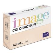 ANTALIS Image Coloraction A3 saàa/zalm 80g/m2 pak à 500 vel - Prijs geldig bij een minimale afname 20 dozen (Hele pallet)