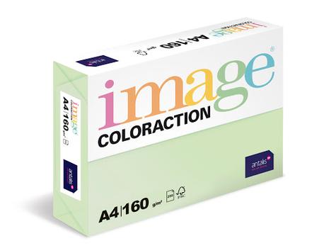 ANTALIS Image Coloraction A4 jungle/ lichtgroen 160g/m2 pak à 250 vel - Prijs geldig bij een minimale afname per doos (5 pakken per doos) (382082-5)
