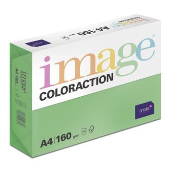 ANTALIS Image Coloraction A4 dublin/ donkergroen 160g/m2 pak à 250 vel - Prijs geldig bij een minimale afname per doos (5 pakken per doos) (379969-5)