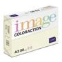 ANTALIS Image Coloraction A3 atoll/ ivoor 80g/m2 pak à 500 vel - Prijs geldig bij een minimale afname per doos (5 pakken per doos) (382065-5)
