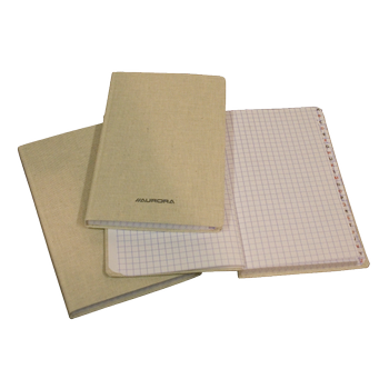 AURORA Buroclass Schrift Geruit Gebonden Wit 96 Pagina's (R966GQ5)