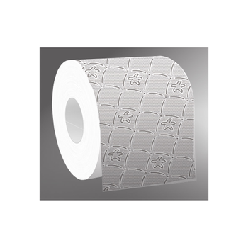 VIKING Standard Toiletpapier 2-laags 48 Stuks à 200 Vellen (1191865)