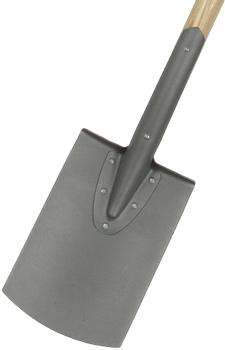 Galax Galax damespade,  lang (121803)