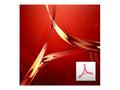 ADOBE Acrobat Pro DC for teams - English - New Subscription New Education Named license - VIPE - Level 1