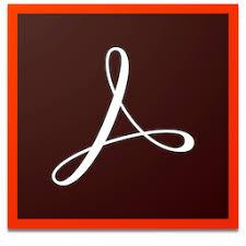 ADOBE Acrobat Pro DC for enterprise - English- Renewal Named license - VIPE - Level 2 (65271781BB02A12)