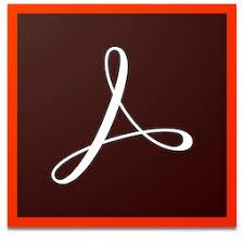 ADOBE Acrobat Pro for Teams - New Subscription - English - VIPG - Level 2 (65276317BC02A12)