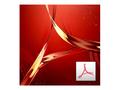 ADOBE VIP Acrobat Pro DC for teams MLP 12M (EN) Team Licensing Subscription Renewal Level 1 (65297931BA01A12)