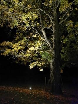 Aneta Lighting BACKE spot, på spyd ute, svart, GU10, IP44, 5 m kabel (7392986791168)