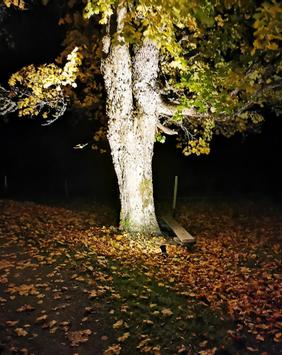 Aneta Lighting BACKE spot, på spyd ute, svart, GU10, IP44, 5 m kabel (7392986791168)